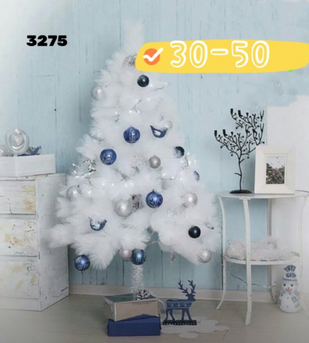 ����� �����,������� ������