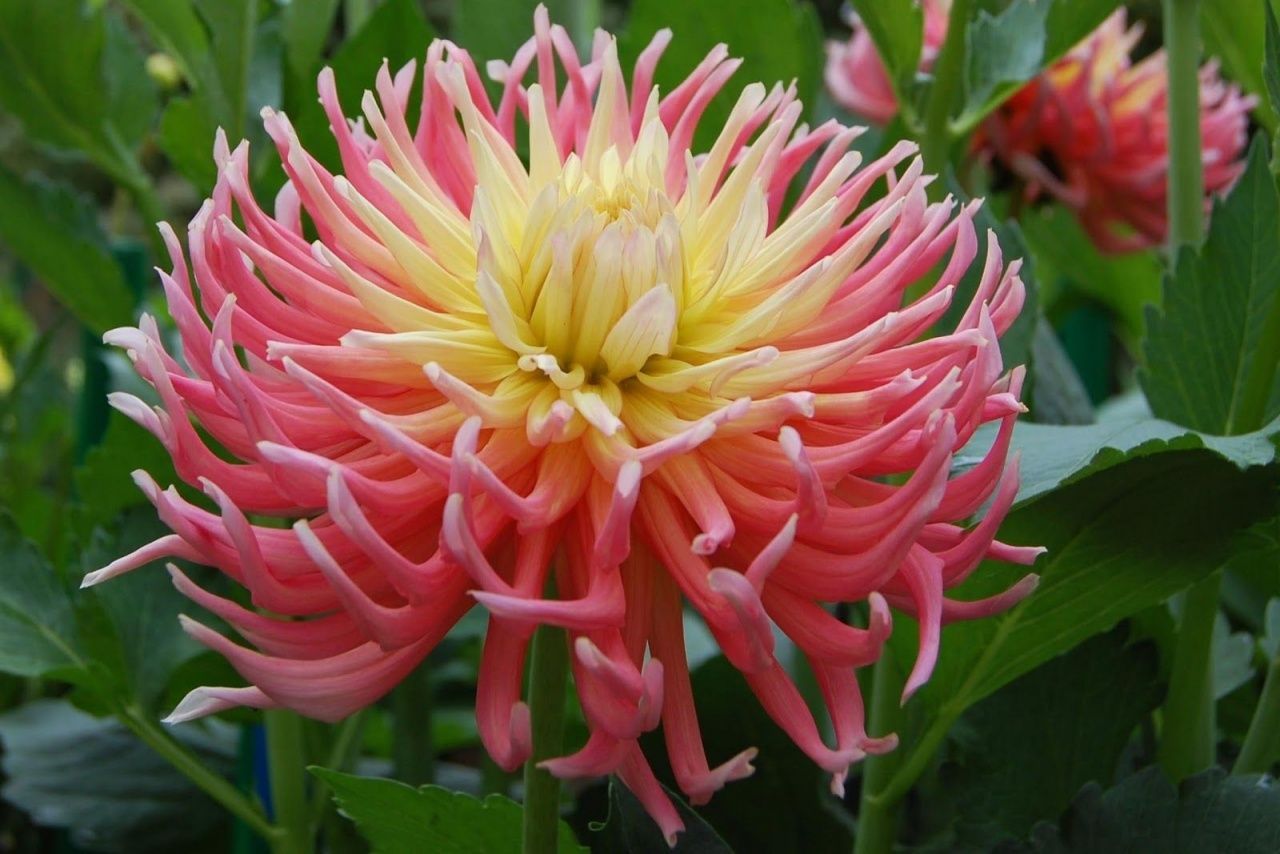 [b]���� �� 1 �������.������ ���������� � ������������.���������.����� �������� �����, ��������, ����������, �����, �����, �������,����� � ����� ������ ������, ���� �������!!![/b]