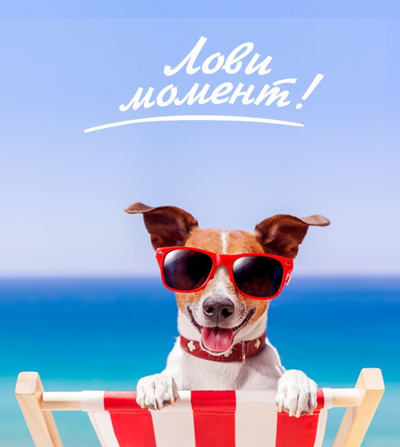 ��������� � ���������� �������� � ������ ������������ Mora! ���������������! �������� ���������, ������, ���������. ������ "���� ������" ������ ��� ���������� �����
