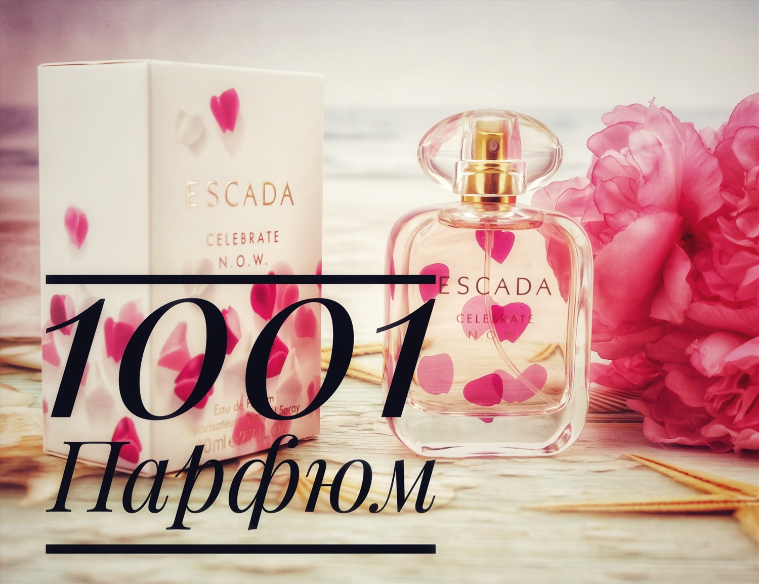 ���������� ����! ���������� ������ �� - 80% C�����, �����!.������ - �������� � ����� ��������� �������