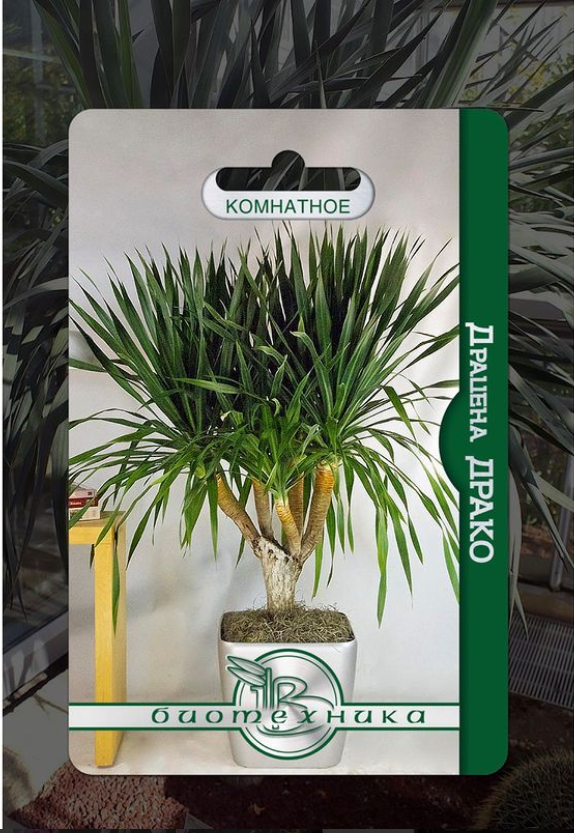 ���������� ������� - ������� �����!