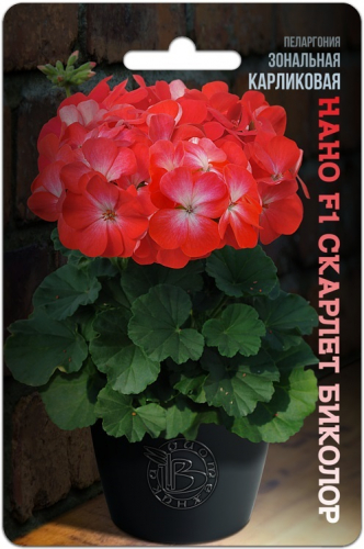 ���������� ���� - �������������� ����-����� � �����-���������!