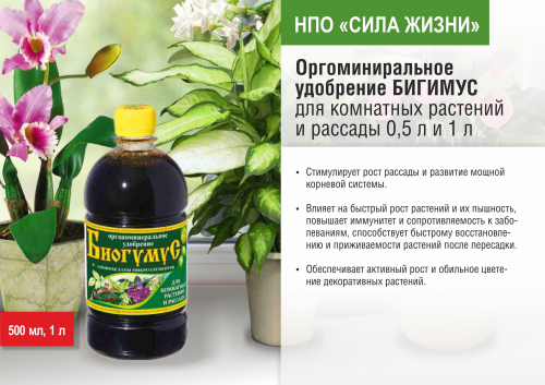 �ӣ ��� ���������� ������������� ����������. ������ ����������� � ���������� ��������� ��� ���� � ����� �����