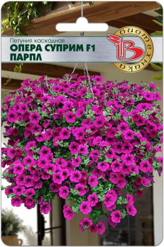 �������� ������� - ����� ������!