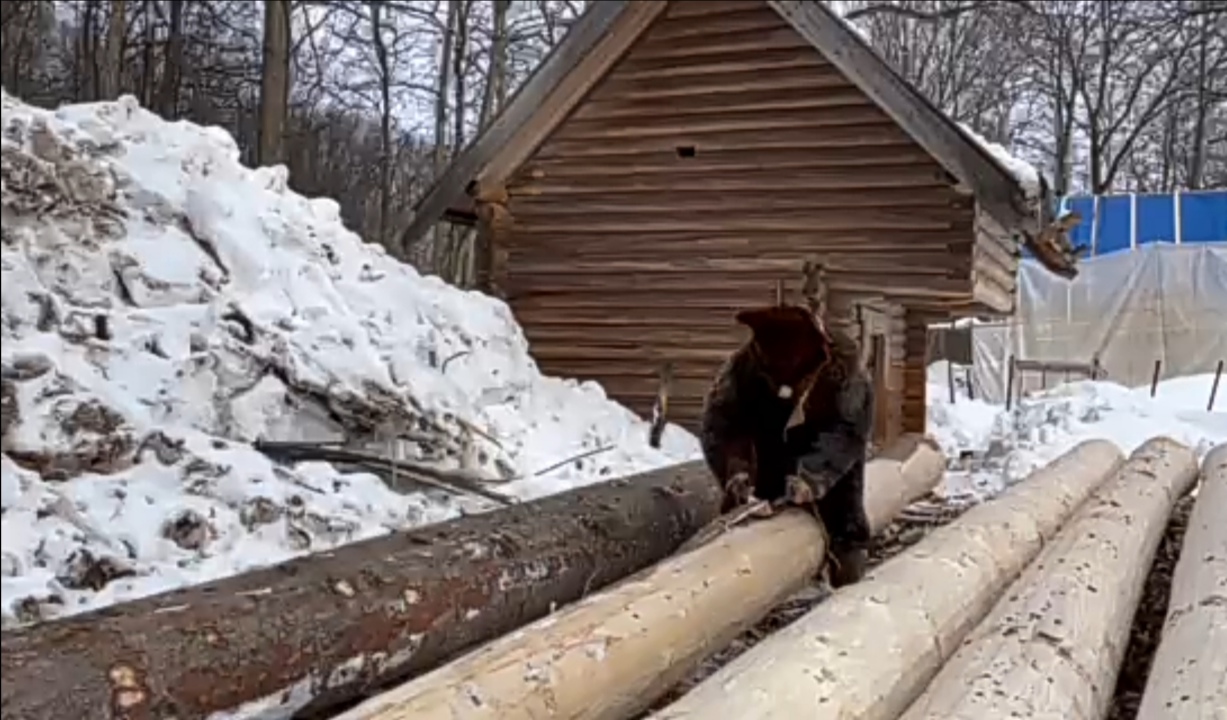 �� ������ �����... 