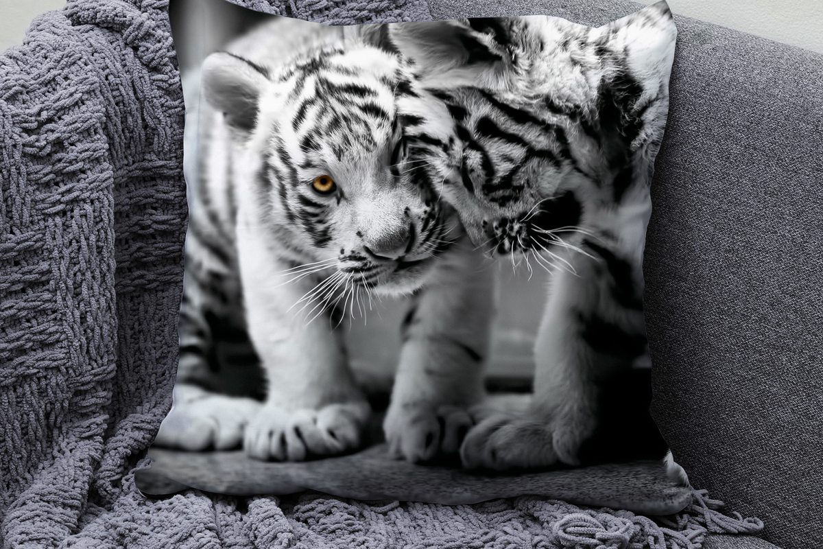 ���� �� 13.12. ��������� � ������ ���� �������! ���������� ��������� �� �@����. ������, �����, ������ ��� �����, �������, ���������, ���������, ��������. �������� �������� �� 90 ���! ������� 19.12.! 