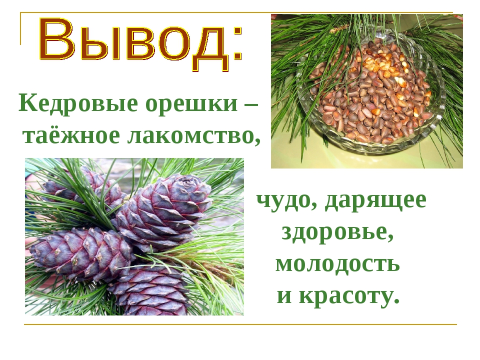  ����� ��� - 58.�������� ������ ������� ������ ��� �������� �� �������������!.������ ����, �������� �������� ���� ���������.���������� ����, ����������� ����, ��������� �����