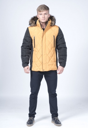 ���� �� 20 �������. Ledos-- ������ ������ ��� ����� ������. ������������ � ������ ������, ����� � �������� 44-68 �-��.-4 