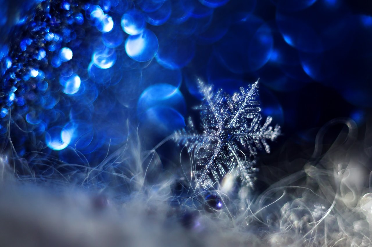 �����. ������� �� ������ �� ������ ����