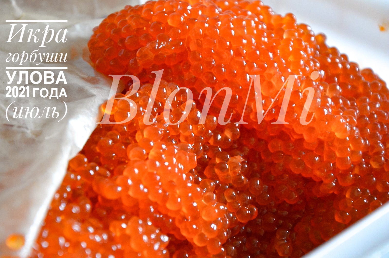 ��������� ���� �� ���� � ���� ���� 