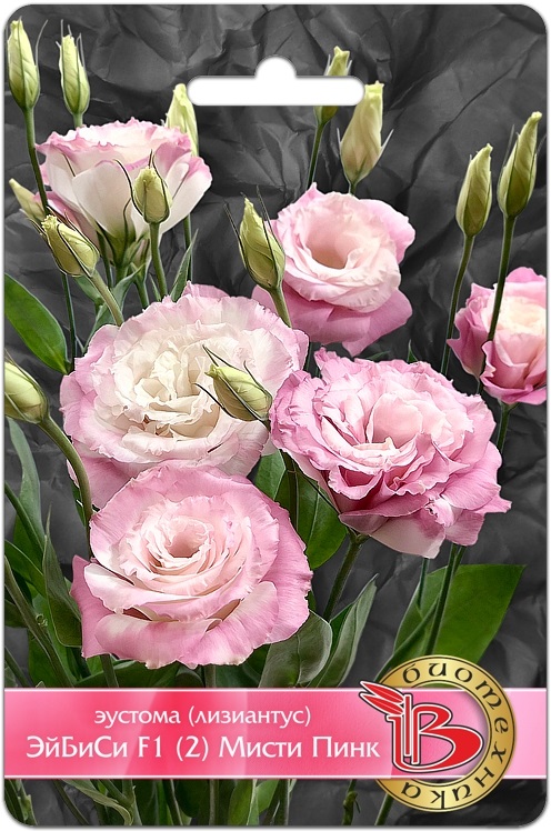 ����������� ����� ������� ��� �������� ����������� � ������ ������! ����� ��������� ��������!