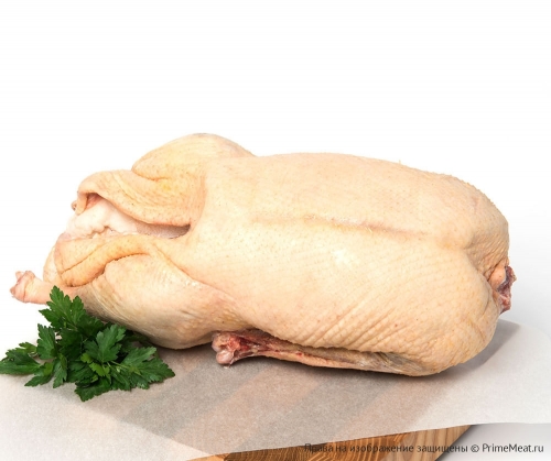 ���� � ����������� �����. ����� ����!