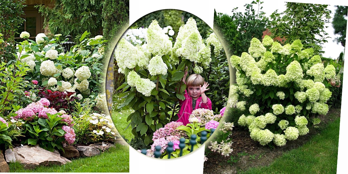 ���� �������. ��������� �������� �������. ��������� ���� 2022�.