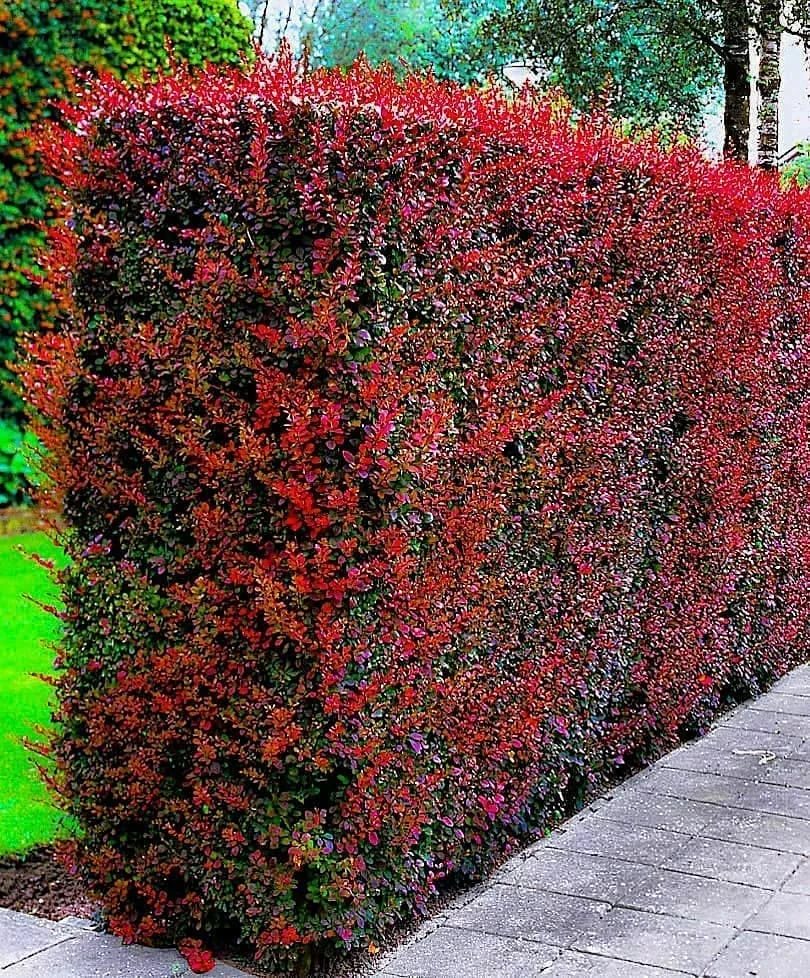 ��������� ����� 2022: ������� ��������, ���������� �������, ���������� ����������, ������/������������, �������-������� �������� � ������ ��������! ������������ ����!