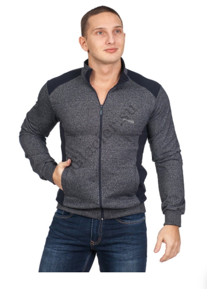 ��������������� ���������