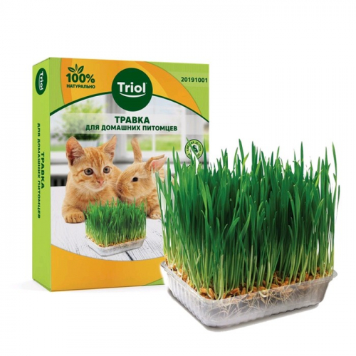 [b]���� �������. ��������� . �������� ����� ������� ��� ����� � ����� . ����� 17[/b]