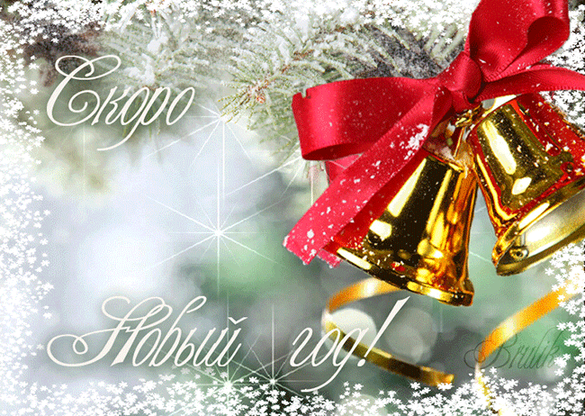 ��� �����