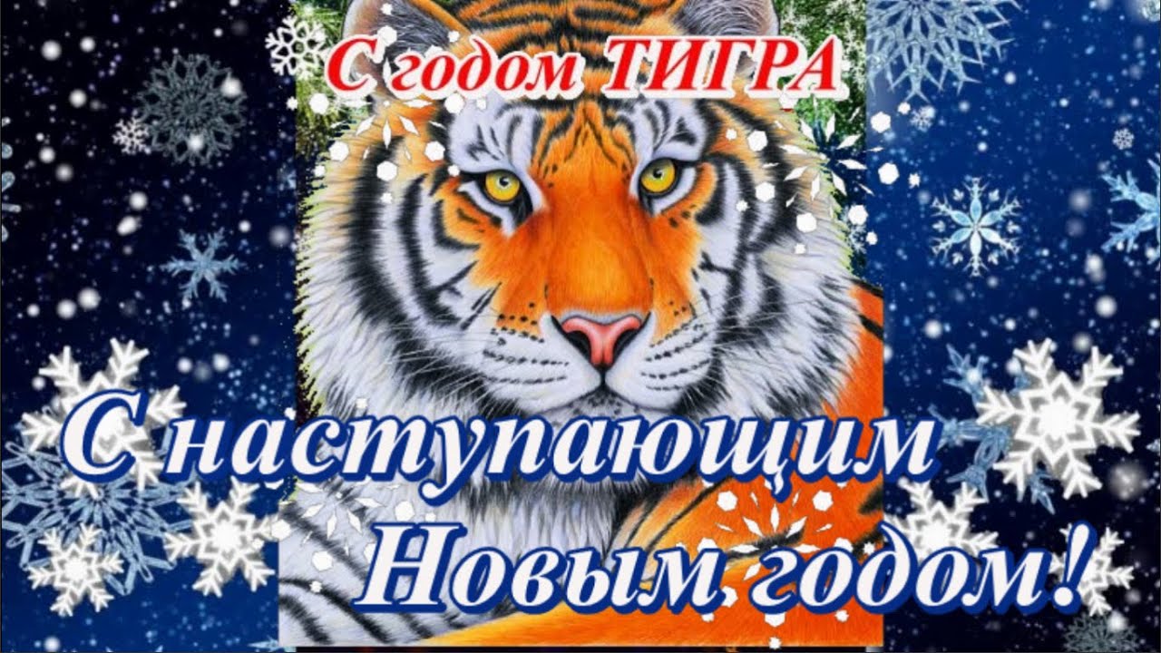 ��� �����