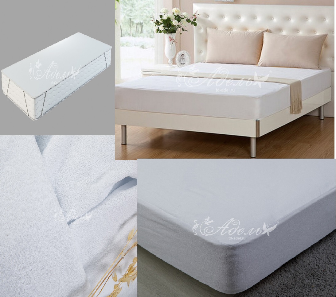 ����������� �������� �� �������. �������� ����� ��������� � ��������! 