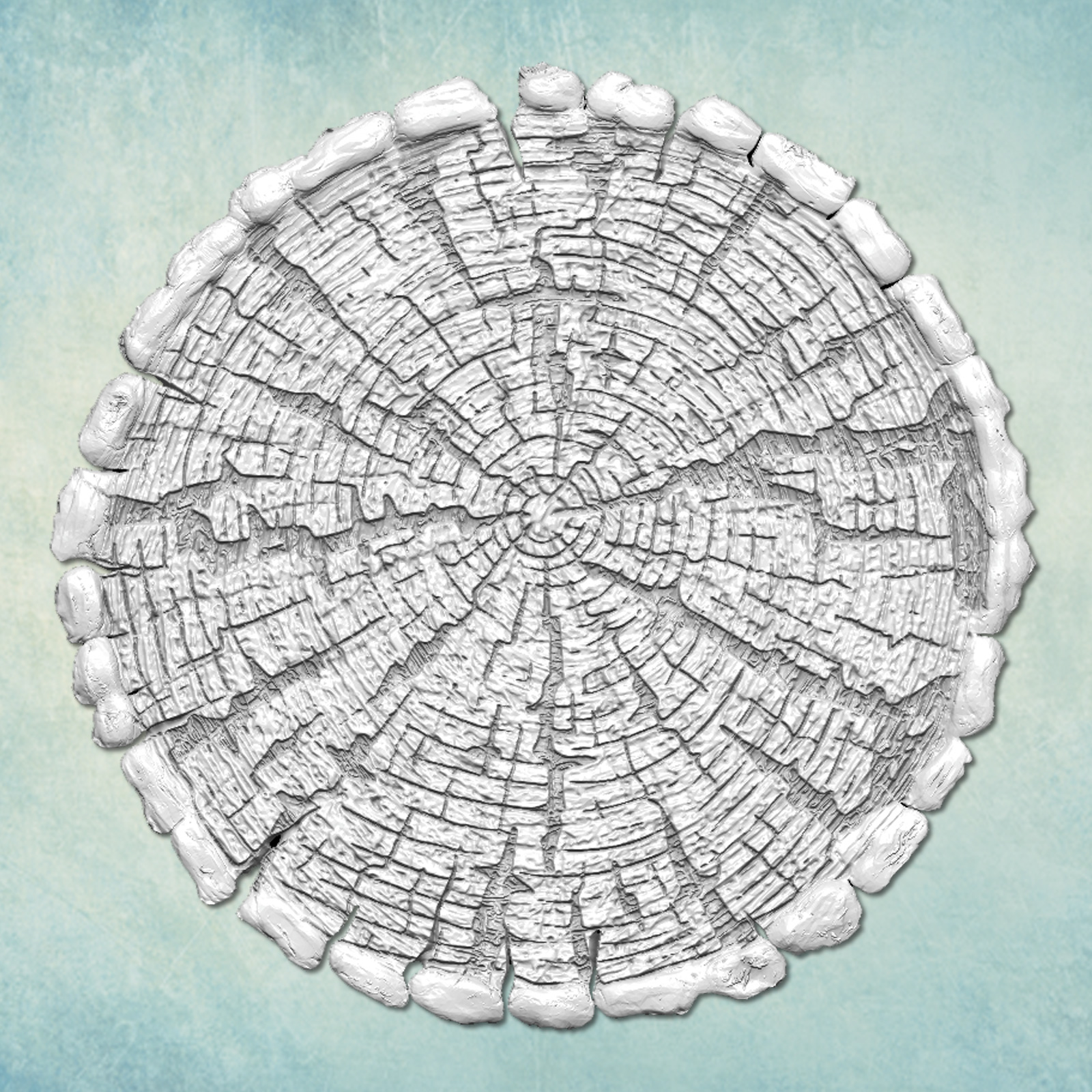 �������!  ���� "���� (����) ������" (XL) ARTMD1552