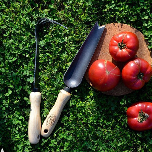 �����������. ������� ���������� �� ������ ������� ������ Dewit, Sneeboer, Offner � ��. �������� �� 100 ���. ��������� �������� ��� ��� Gold Leaf! ��������, �� ������������ ����� Foxgloves. ����������� �������������, ������ ��� ������. 1/22