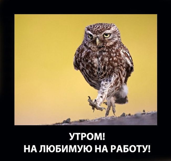 ��� ������