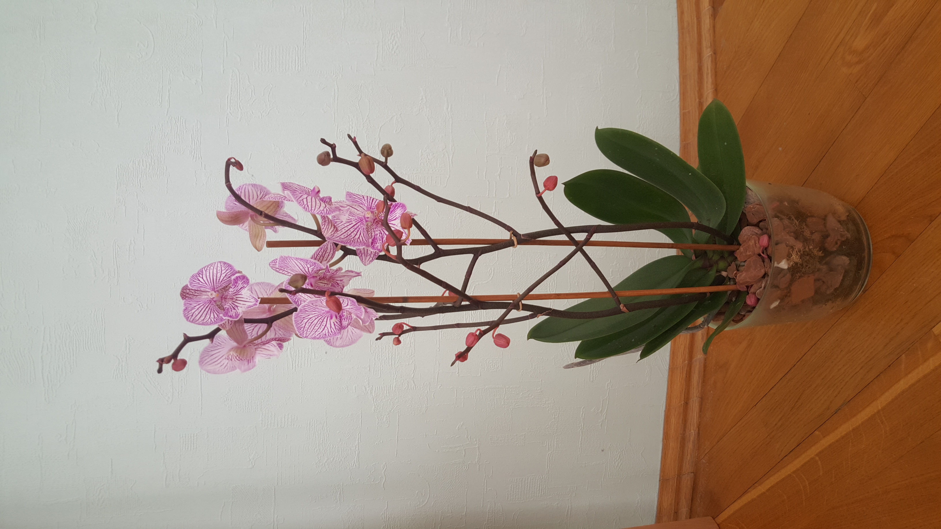 ���� �� 30 ������. ��������� ��������� ��������, �������� � �������� ���������, ���� ������� ���������, ����� � ���, ������ 1-22.