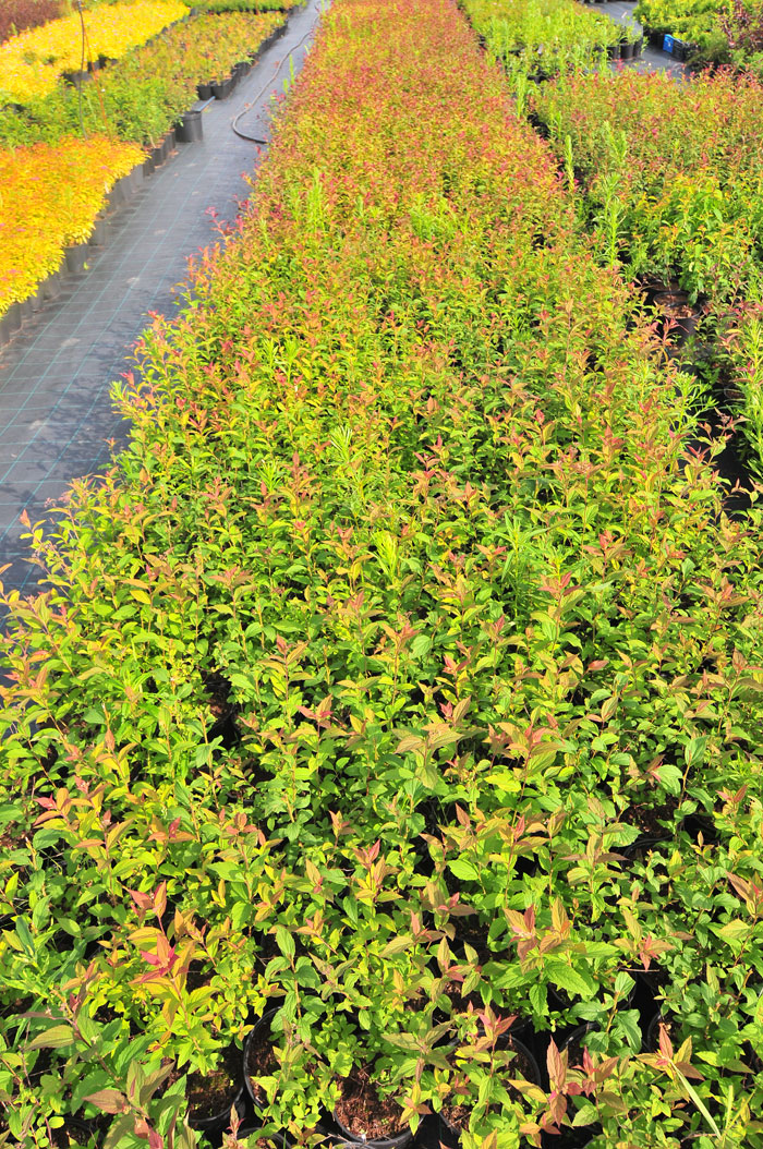 ���� �� 30.01 ������� ������������ ����������� � ������ �������� �� ����� ������� �����! ��������� �� ����� 2022 ����.