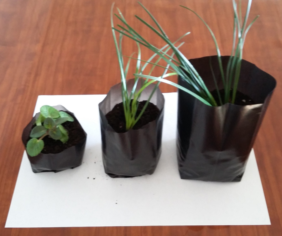 ���� �� 31.01.22. ������ ��� �������  �������  ������� ���� ��� ����������� ��������. ���������� ��������� ��� �������� �������. ������� ���������� � �������� ������. ������� �� �����, ���� ���� � 4 ���� �� ��������� � ��������������. - 1