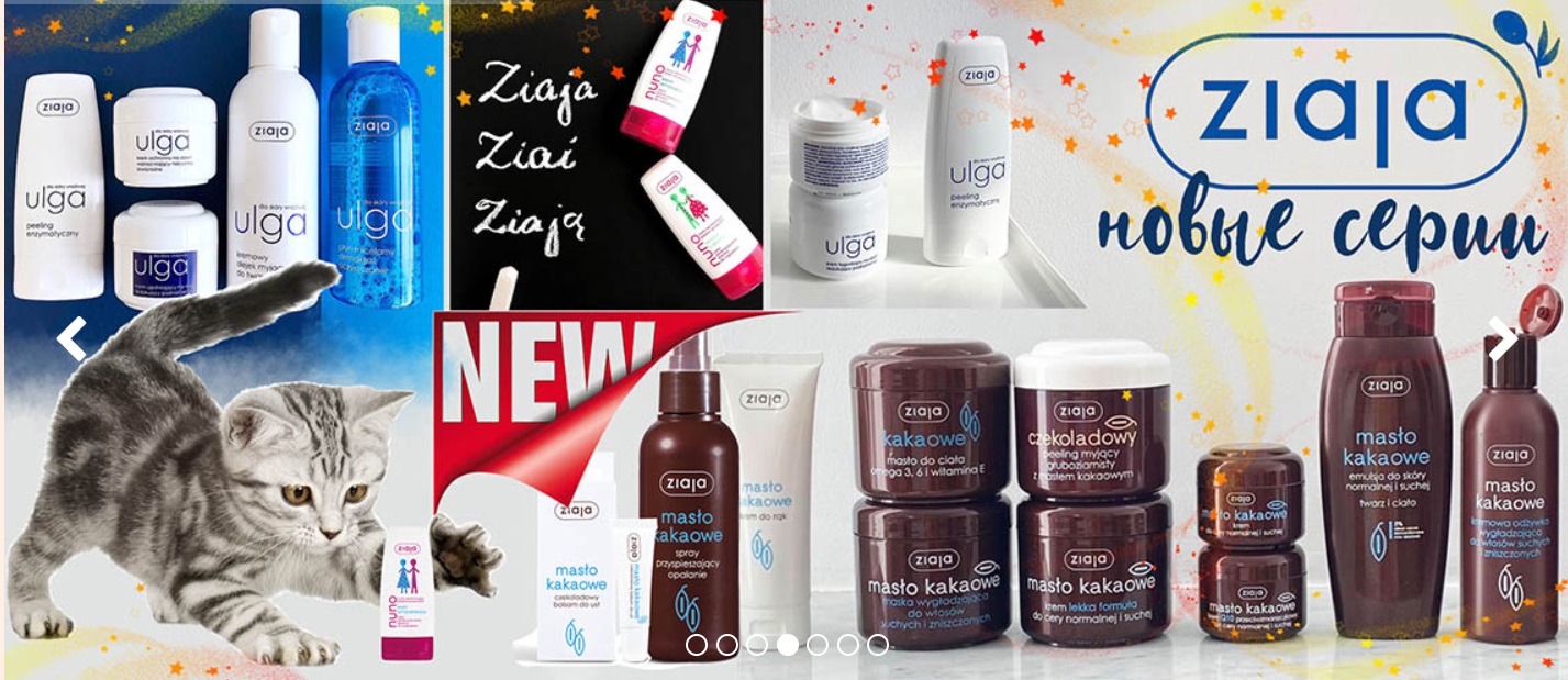 Zi*aja ��������� �������� ������������� �����, �������� �������� �� ���� ����