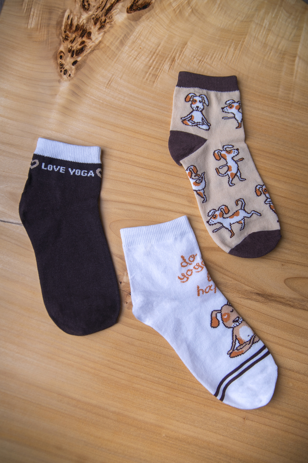 ���� �� 24.01. �������� ��� ����� � ����������, � ����� �����, ������, ������ �� �������������. ������� ����, �������� �����. �������� ��� � �������� �������, �� ����� ���� � ����! 