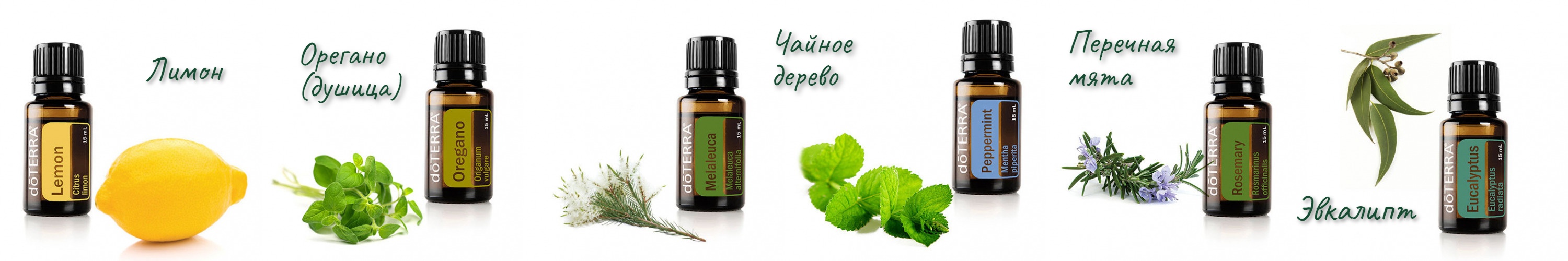 �������� ������� ����� ��� ��������. ������� � doTerra.