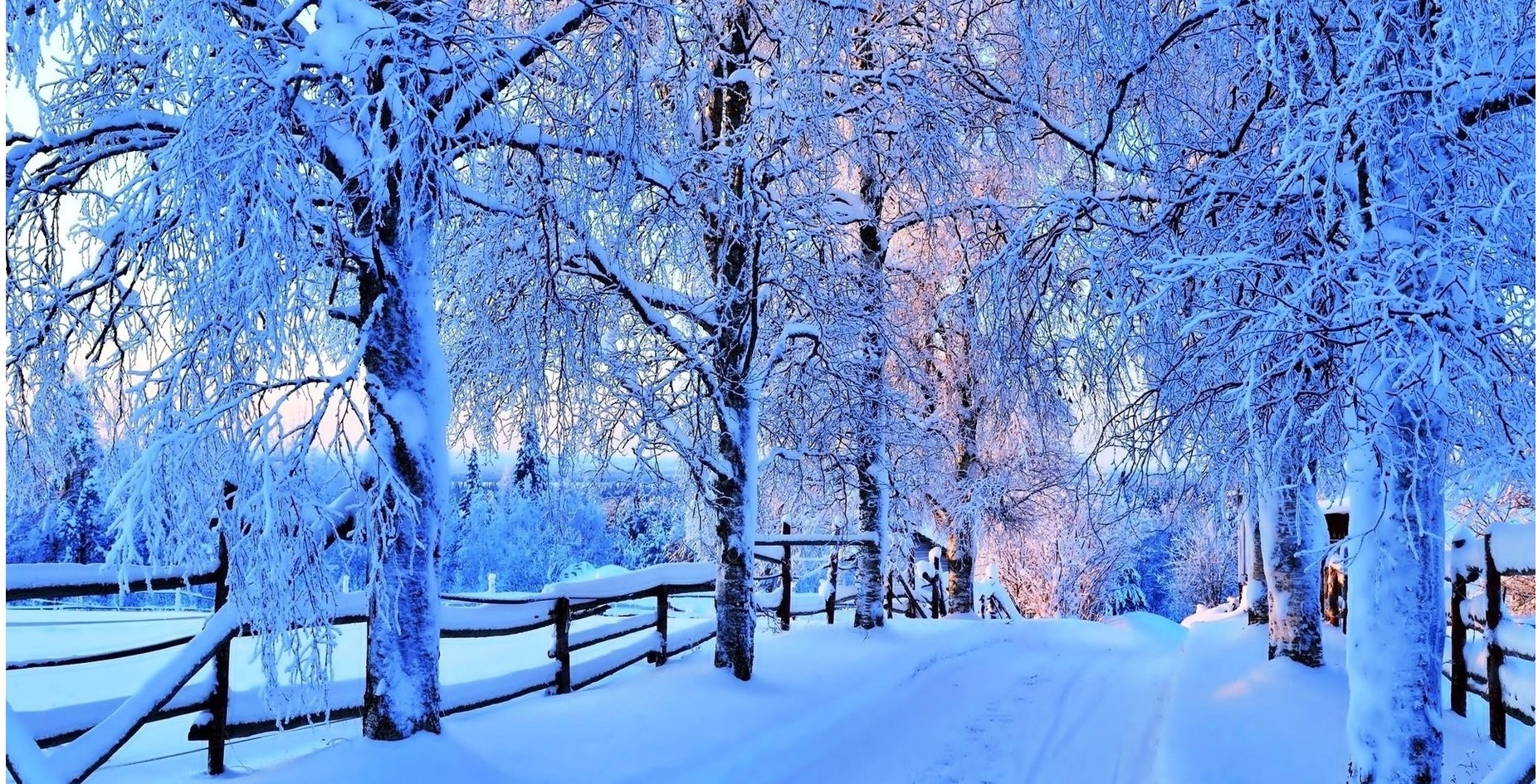 ��� � �������! ������� �������.