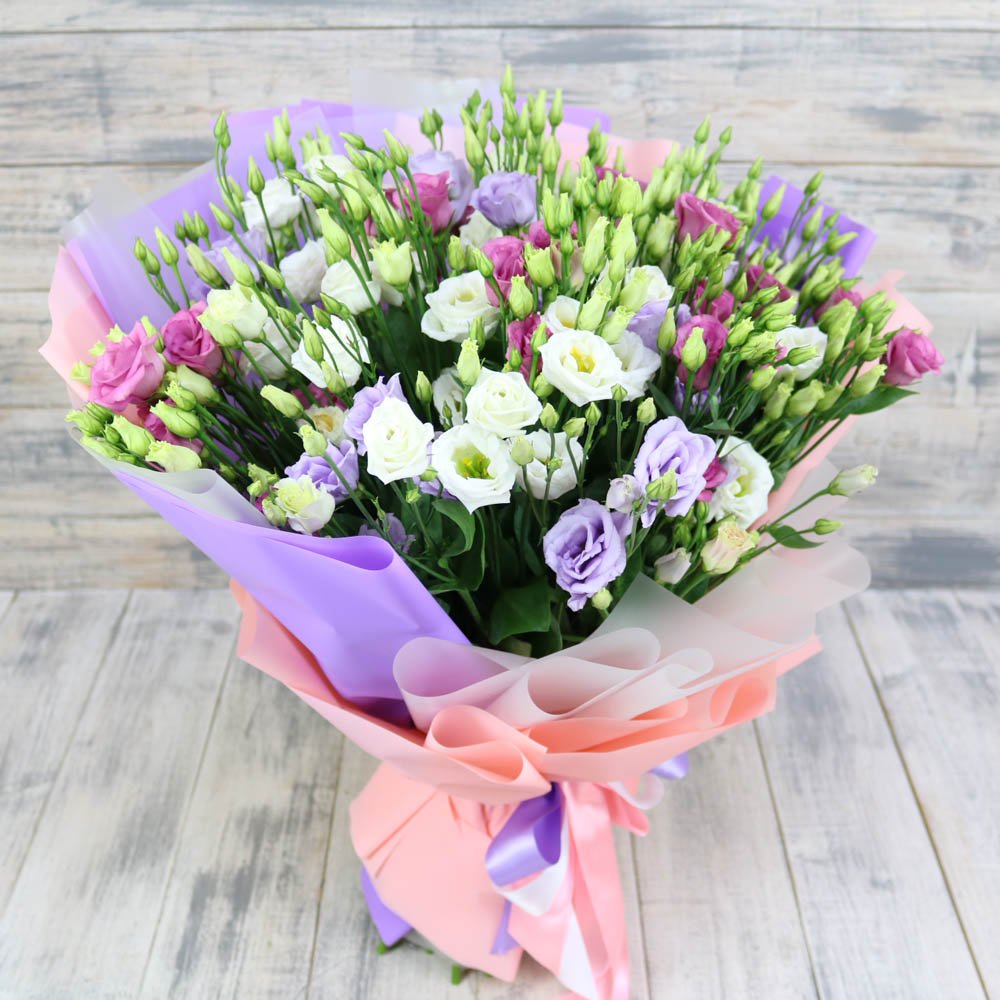 ���� �������. 27.02. ������� �� ��! �������/�������-����� ������������ ����� ��������� ����0��! ���� ����������-�� 14������ �� 1�����! �������� ������ 10! �������� � ���!