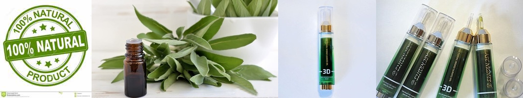 �������� ����� ������� ����� East Nights ��� �����, ������ � ������.