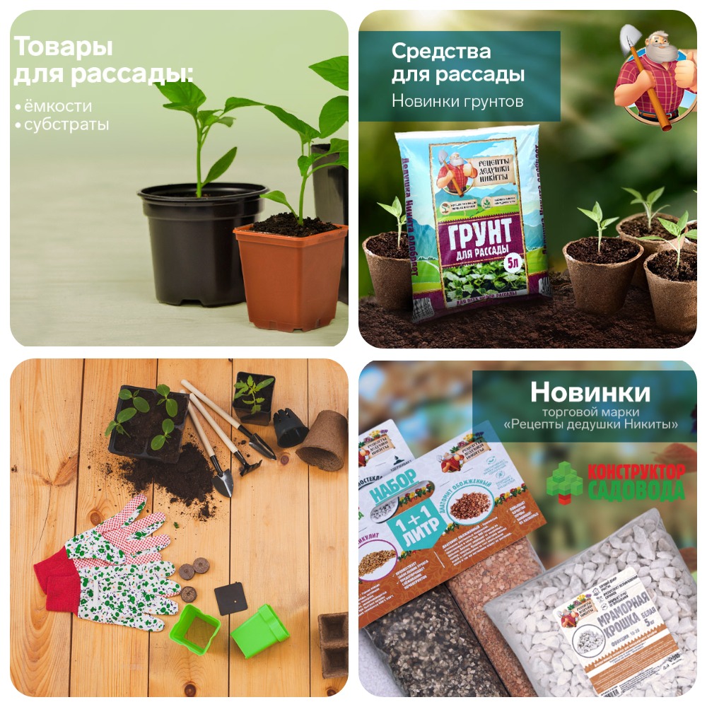 ���� ������� �� 26.01. ��� � ����� �����: ������� ��������-������ ��� ������� -���������� (�������; ��������,��������) ��������� � ������;��������� ��� ����������� ��������. ����� � ������ ���������.