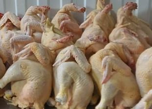 �������� �������� ����� �������� ��� ������.