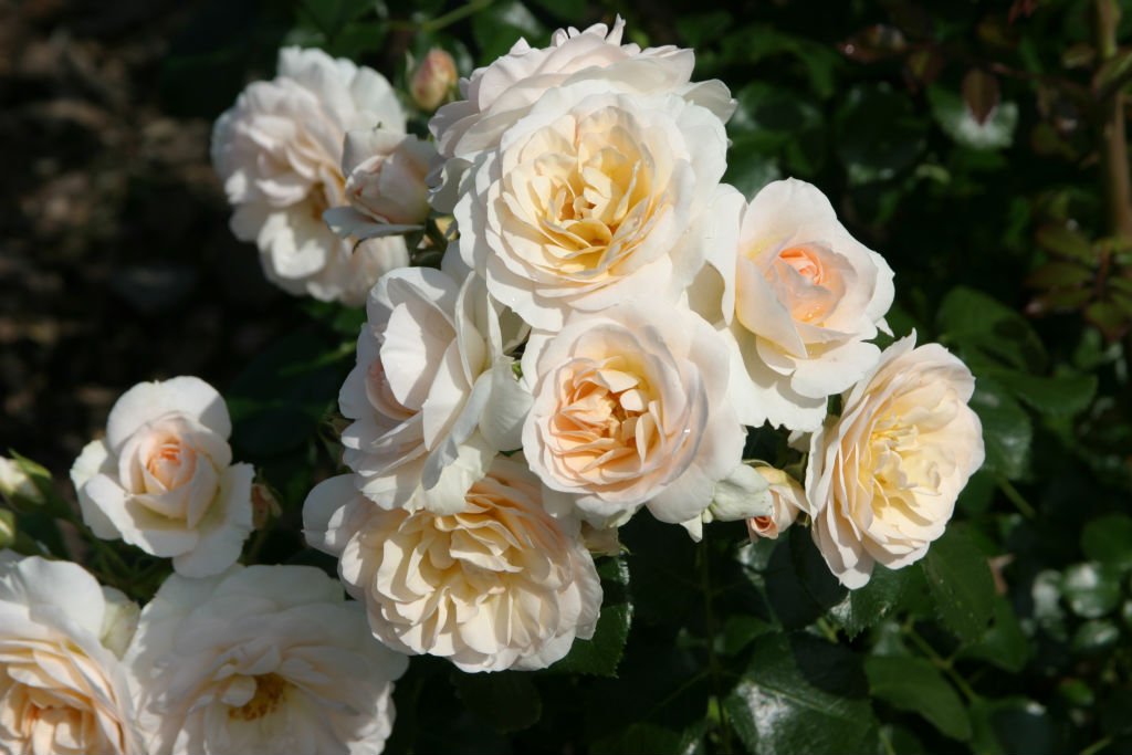 	���� �� 14/02 .��������� �� ����� 2022.������� �������� ��**��**��**��. ������������ � ������� ��������. ������� ��� . ������� ��������, ���������. �������� �������� 2-�, 3-� �����. ���. � 25