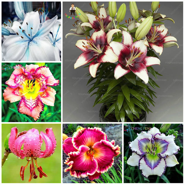 ���������� � ���������. ��������� 2022! �. ������!