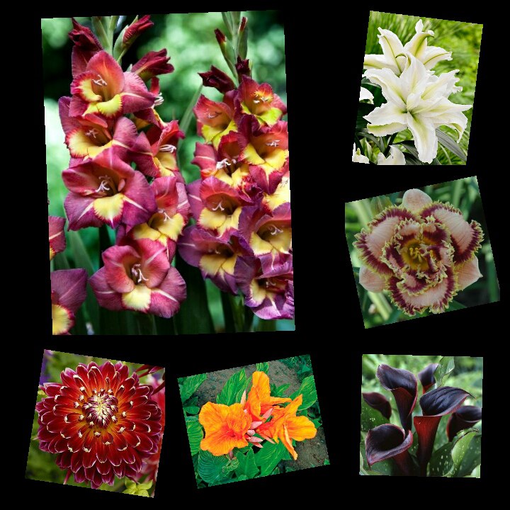 ���������� � ���������. ��������� 2022! ���� ���������!