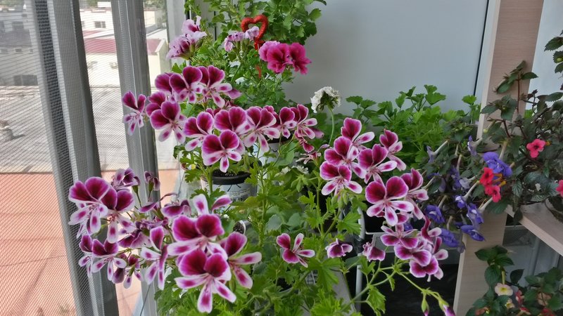 ���� ������� �� 31.01. ������������ ���������� - ���������, �����������, ���������, ��������, � ������� �������. �������� �����. ������ �� �����, ������� ��� ������������ � �������������, ����� �������. ��������� �� ����� 2022