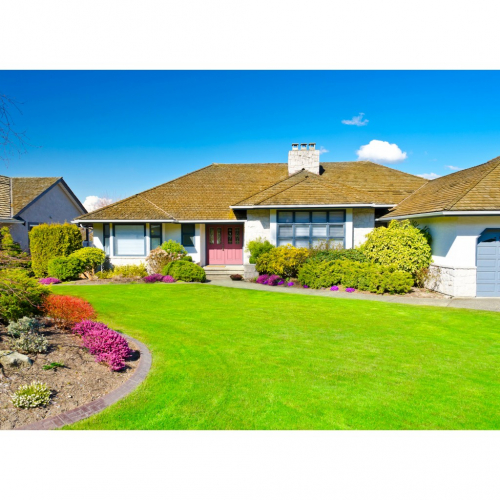 ���������������� � ����� ��������� ������. ��������� ����, ������������, ��������, �����. 