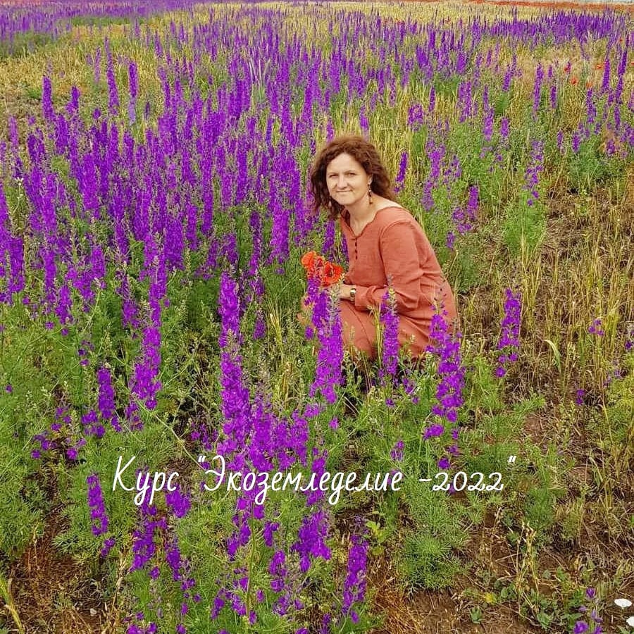 ��������� ��������� �� ���� "�������������-2022" 