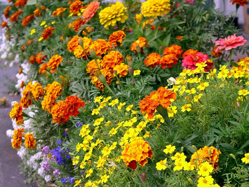 ���� ������� �� 28 ������� 2022. ������� �������, �������(��������), �������, ��������� 1-2022