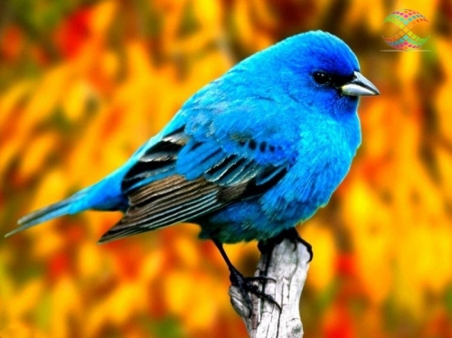 ������ ����� ����� ����� ������ ������!!!