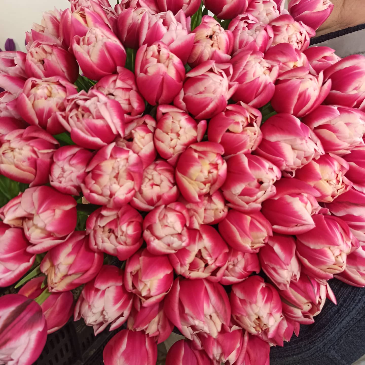 ���� �� 28.02. ���� �������� � 8 �����! ������� � ������ ������������ �����.������ ��������! ������ � ��������! 6 ��� �� ��