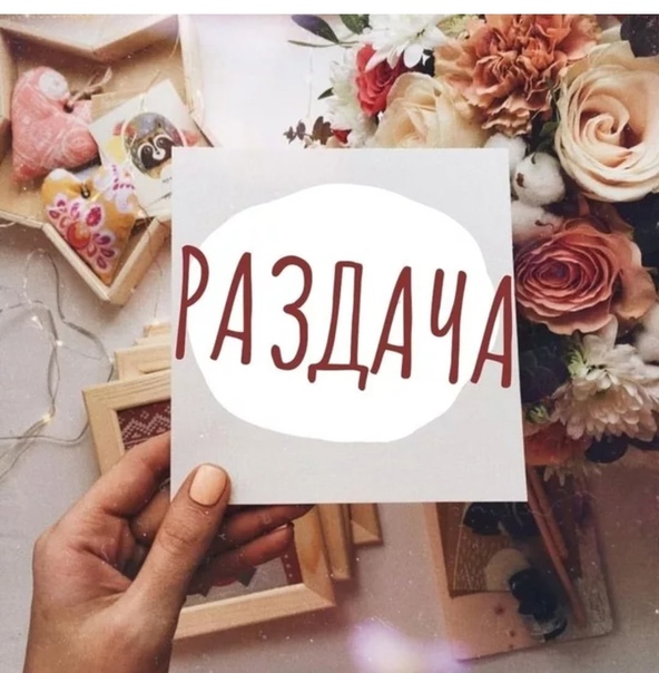 ������� 4�1 ������� �������� Pelican. �����-2/22, 206. ������� �������� Pelican. �����-2/22, 206.