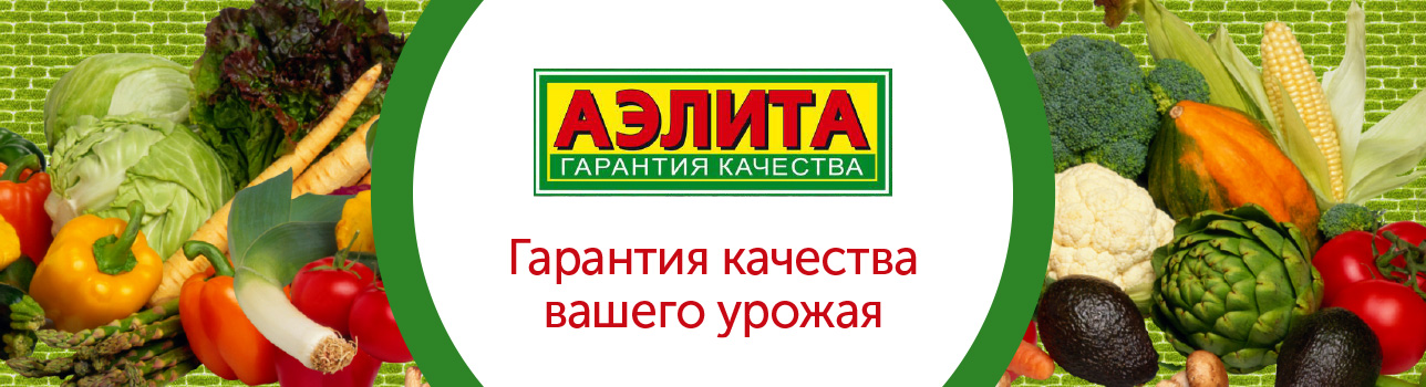 ������ . ��������.