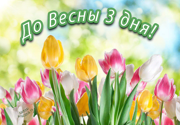 ��� �����