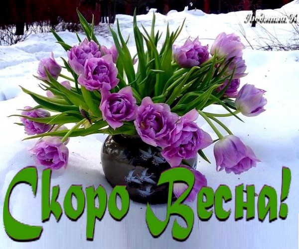 ��� �����